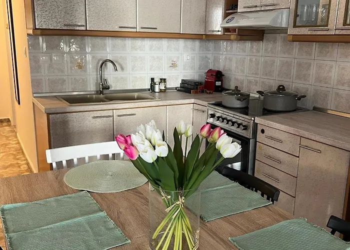 Apartament Dimitris Family Nea Moudania